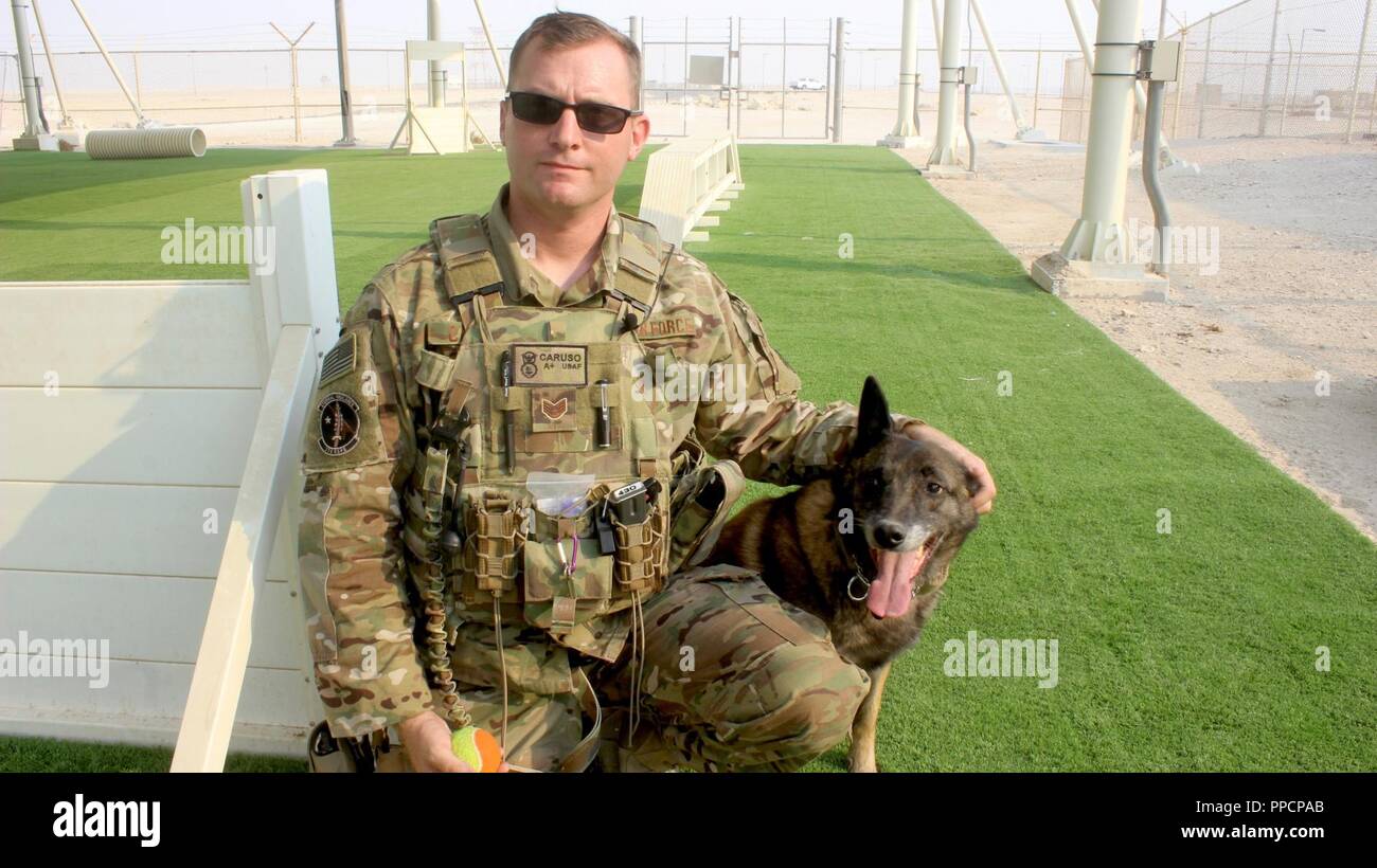 mwd military