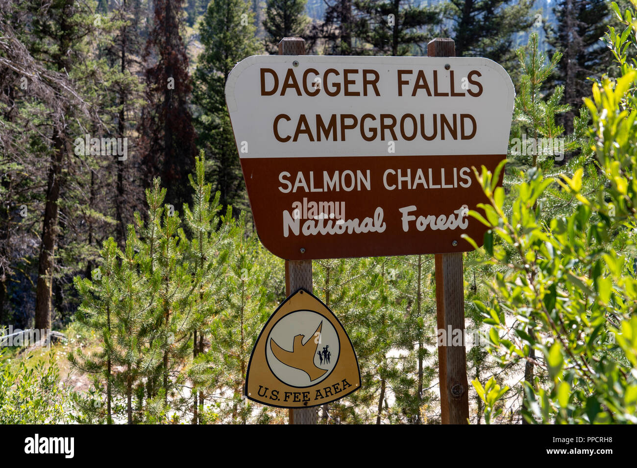 Middle Fork of the Salmon River near Dagger Falls and the Boundary