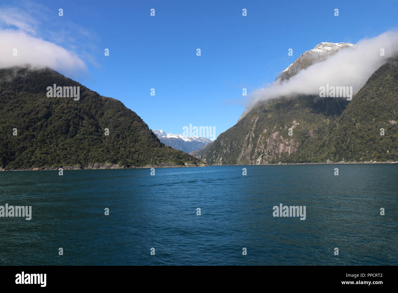 Fjordland New Zealand Milford Sound Stock Photo Alamy