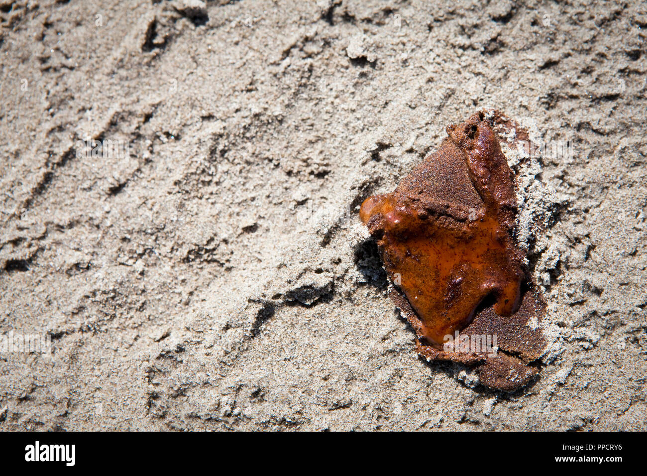 Close-up of small oil slick on beach sand, Grand Isle, Louisiana, USA Stock Photo