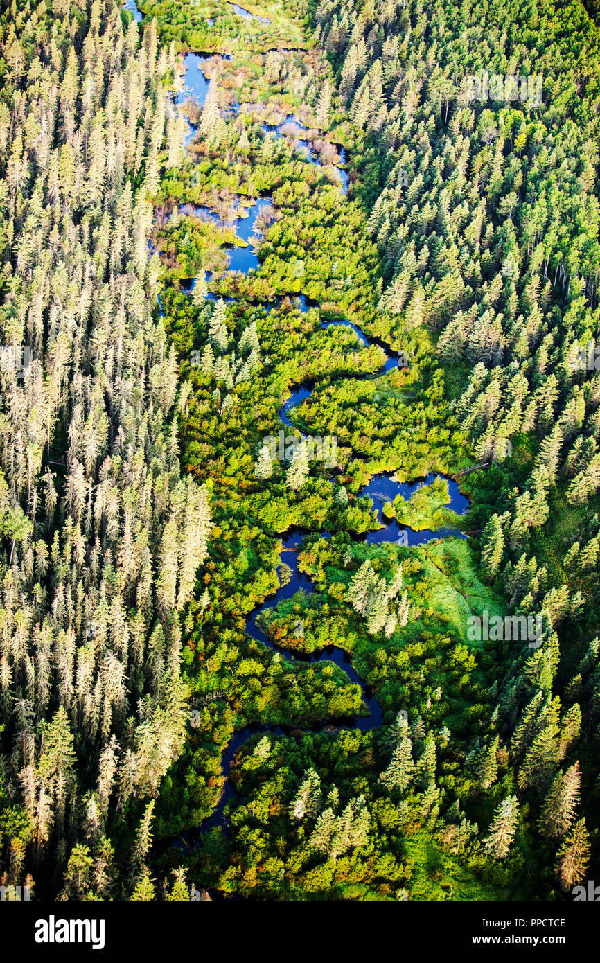Boreal forest in Northern Alberta, Canada near Fort McMurray Stock