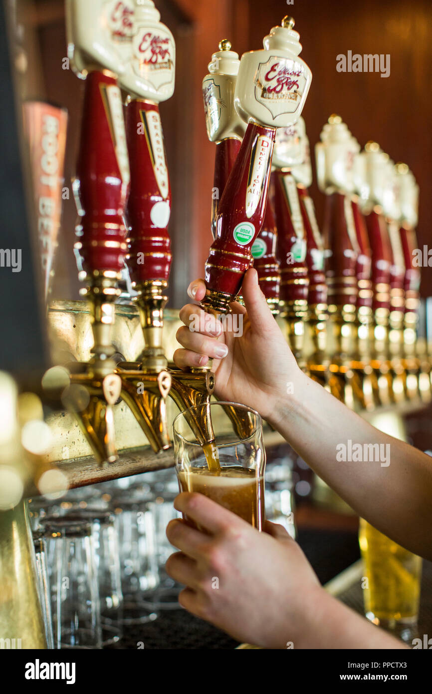 Hands of person filling glass with beer tap, Seattle, Washington, USA Stock Photo