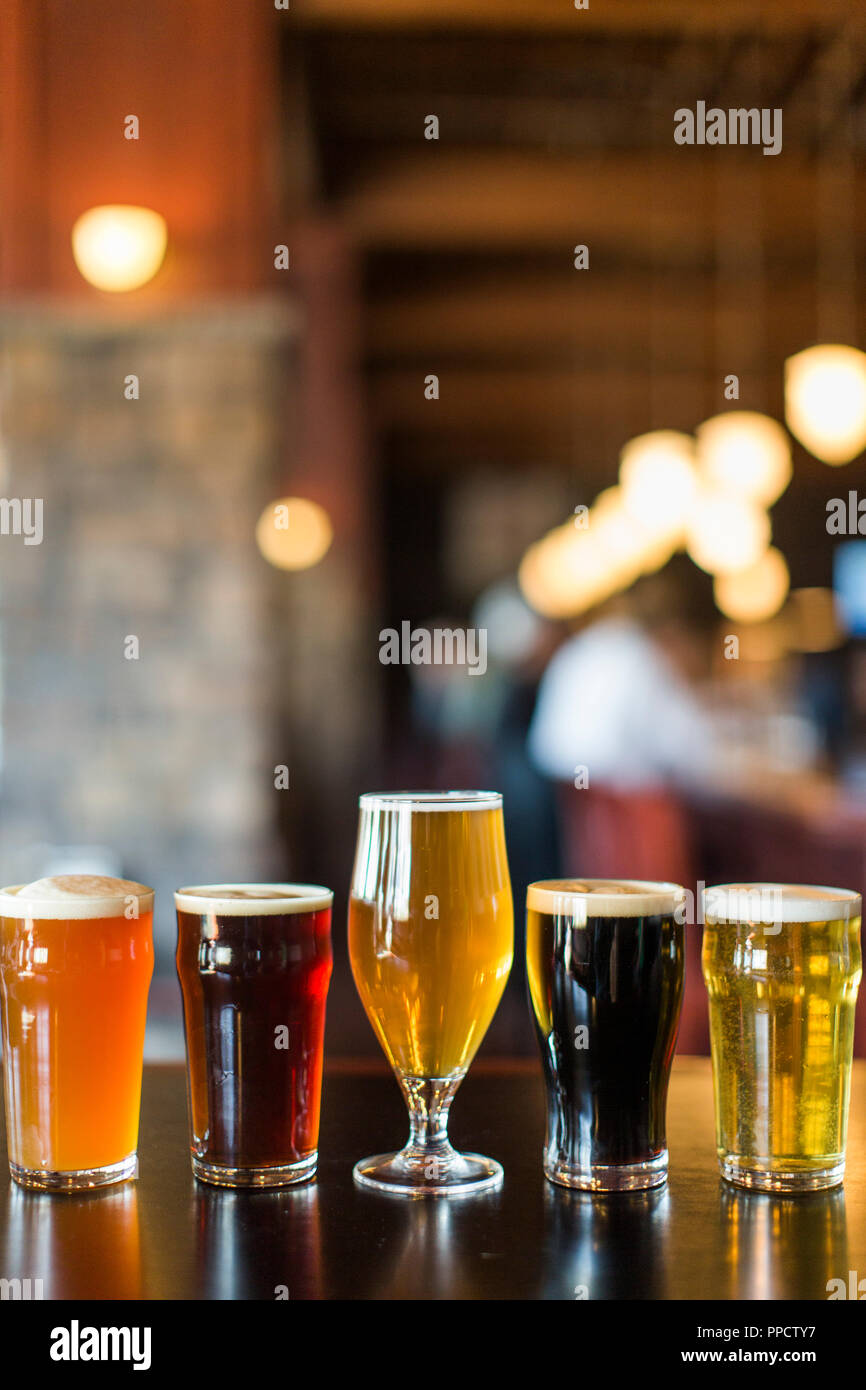 Glasses of various beers standing in row at bar, Seattle, Washington, USA Stock Photo