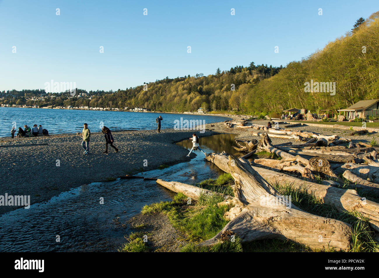 Clear sky over people relaxing on coastal beach filled with driftwood, Seattle, Washington, USA Stock Photo