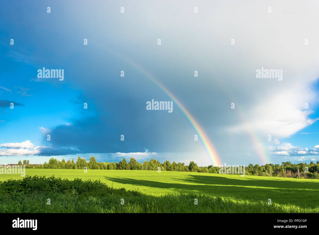 Bright multi-colored rainbow over the green field on the background of a large cloud. Stock Photo