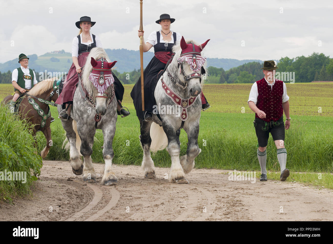 The traditional 'Leonhardiritt' in Holzhausen - Teisendorf, Oberbayern, Germany. During the parade which was first mentioned in 1612,  the beautifully dressed horses are being blessed. Stock Photo