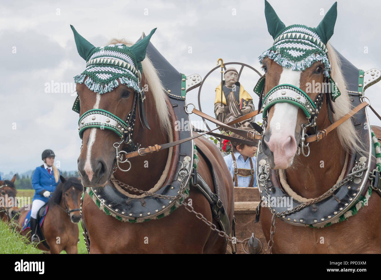 The traditional 'Leonhardiritt' in Holzhausen - Teisendorf, Oberbayern, Germany. During the parade which was first mentioned in 1612,  the beautifully dressed horses are being blessed. Stock Photo