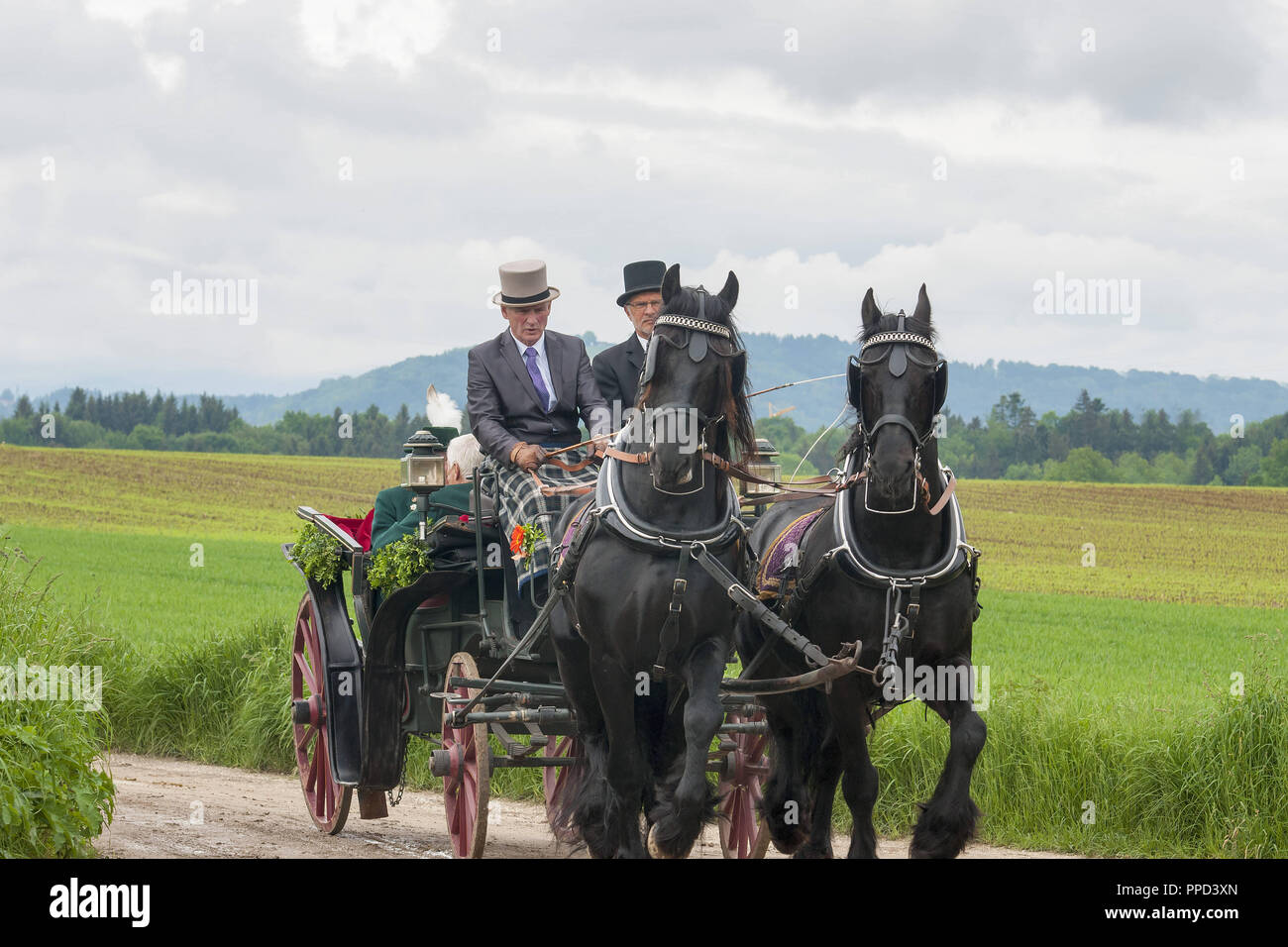 The traditional 'Leonhardiritt' in Holzhausen - Teisendorf, Oberbayern, Germany. During the parade which was first mentioned in 1612,  the beautifully dressed horses are being blessed. Stock Photo