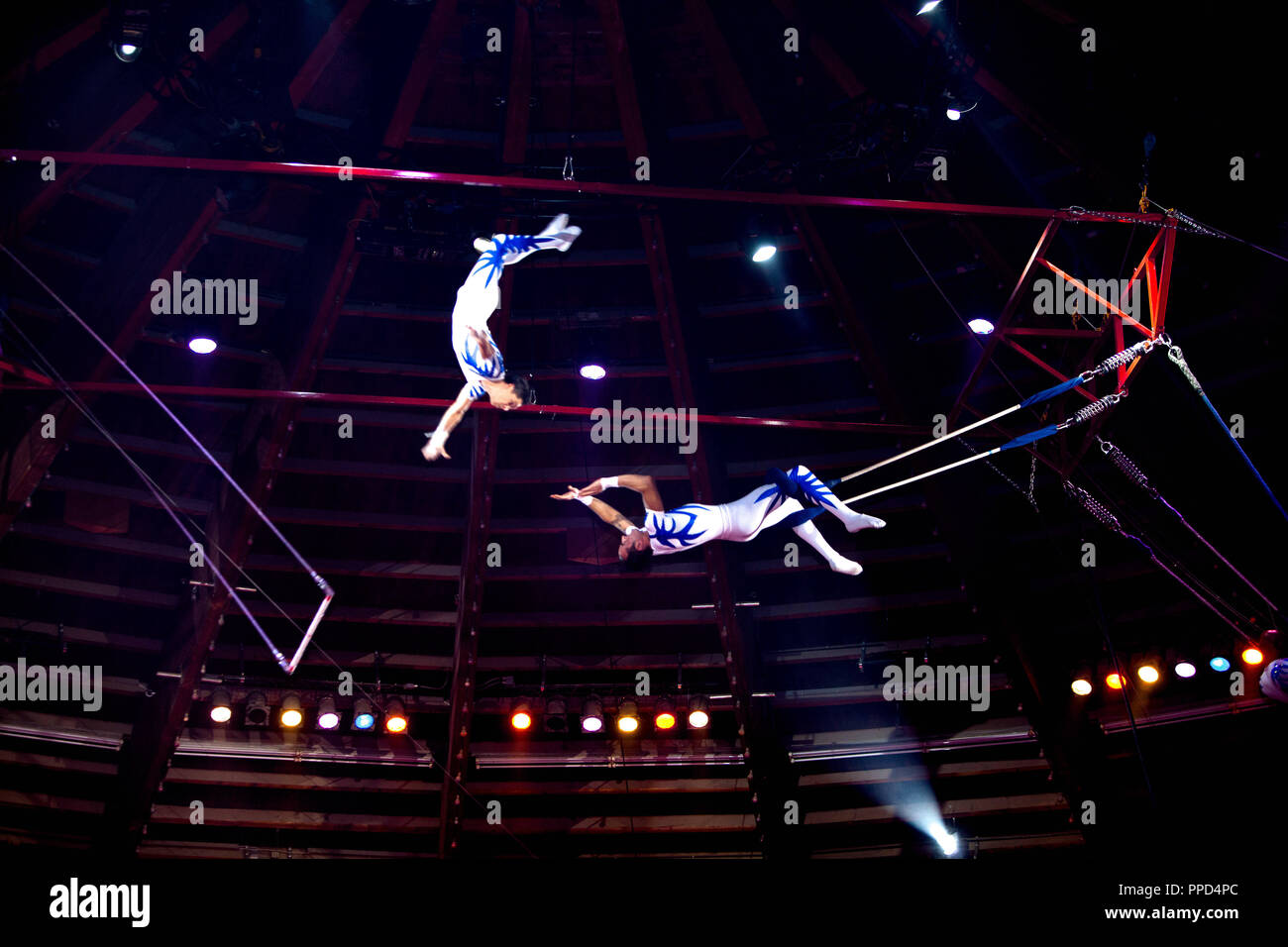 Trapeze Artists Stock Photos & Trapeze Artists Stock Images Alamy
