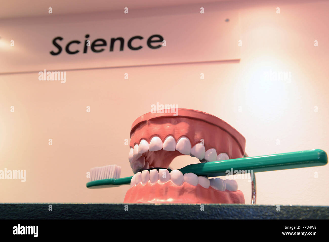 Learning materials for brushing teeth on a stand at the Toy Fair in Nuremberg. Stock Photo