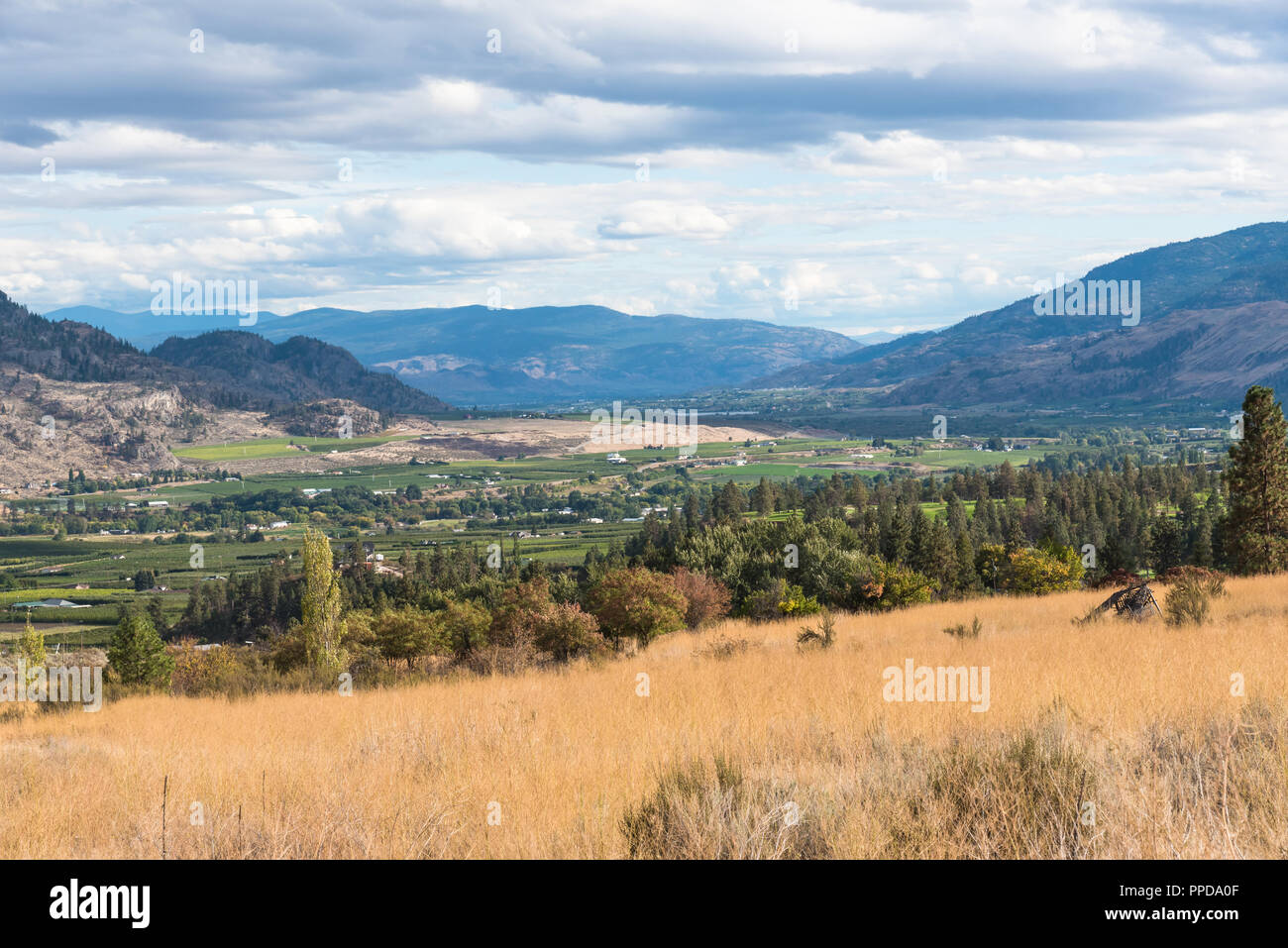 View of the Okanagan Valley, green fields, and town of Oliver in autumn Stock Photo