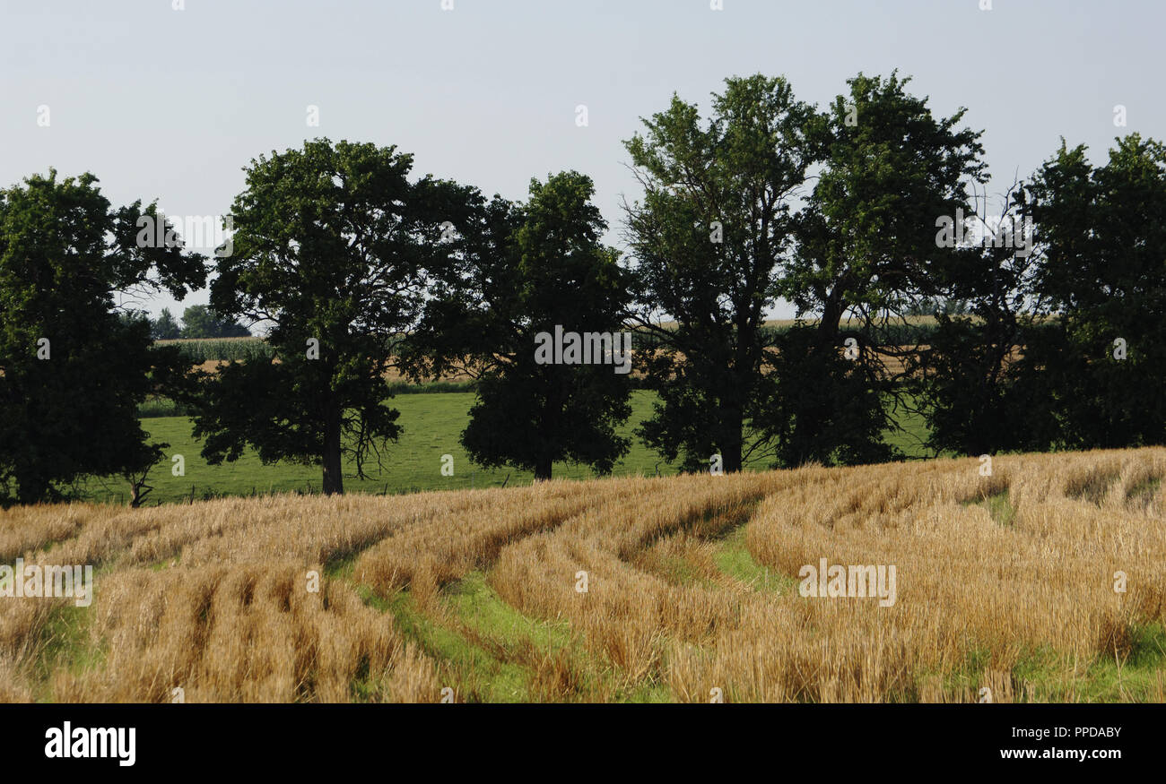 Cultivo de campo arable hi-res stock photography and images - Alamy