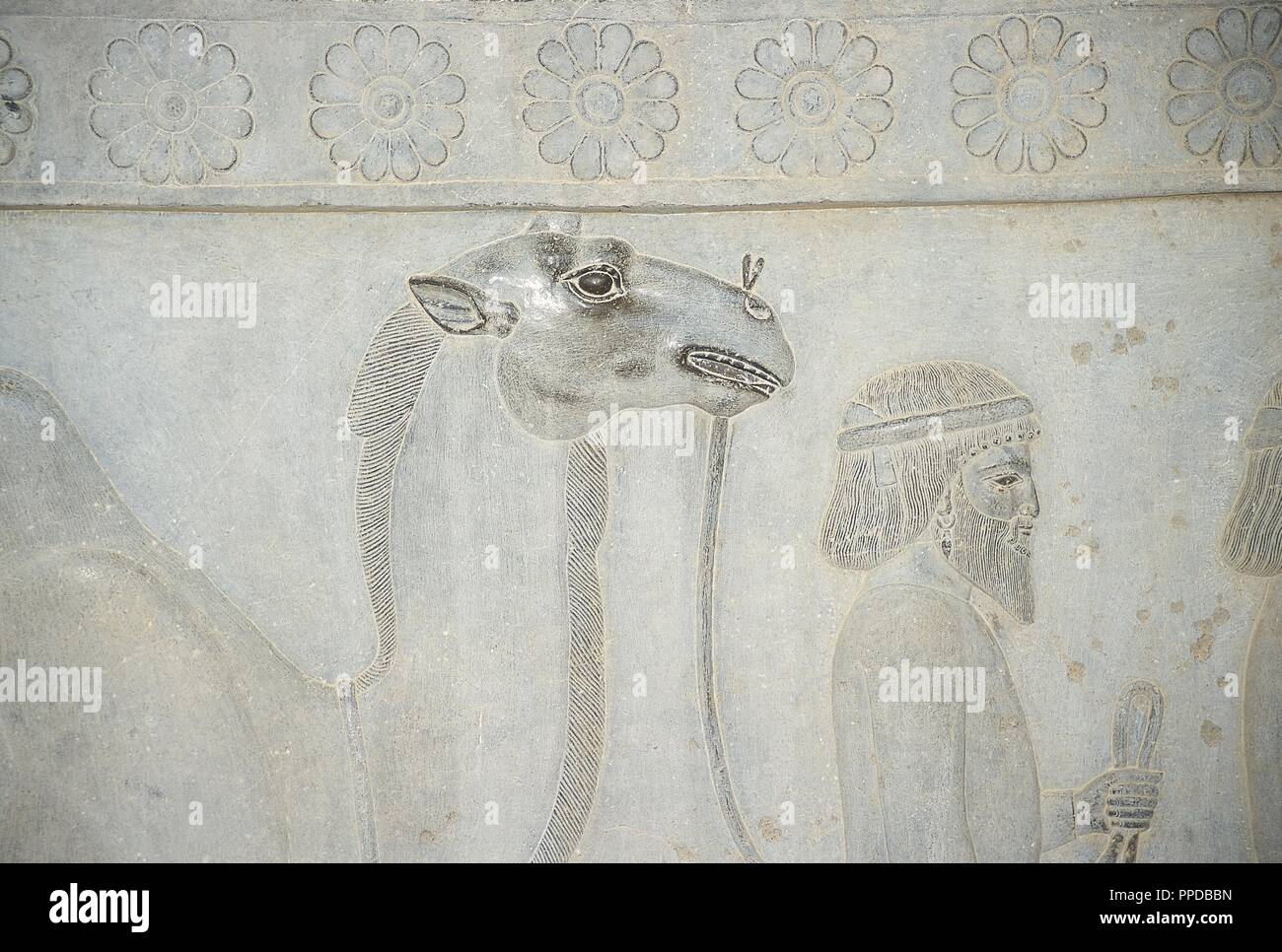 Persian Art. Achaemenid Empire (550-330 BC).  Persepolis. Relief of the stairs of the Apadana. Detail. Delegation: Bactria offering. Stock Photo