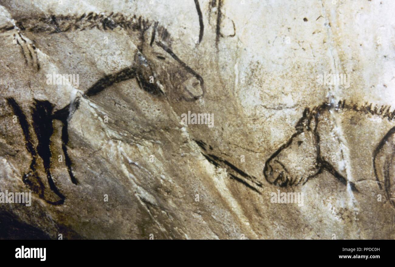France. Occitaine region. Ariege Department. Cave of Niaux. Magdalenian period (17.000-11.000 years ago). Late Upper Paleolithic. Black room. Cave paintings depicting horses. Stock Photo