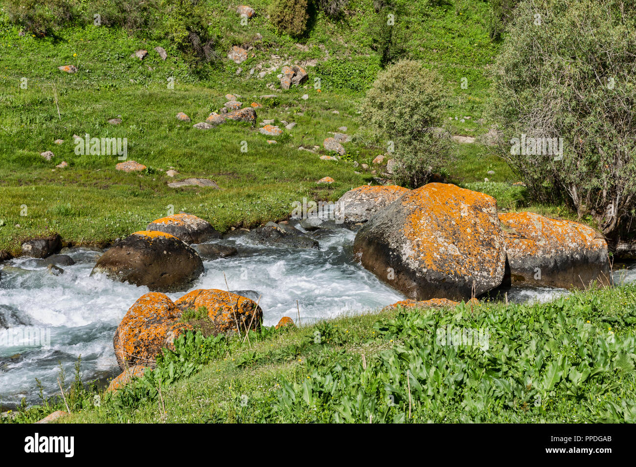 The incredible Heights of Alay Trek in Southwest Kyrgyzstan that takes in 4 3000+ meter passes. Stock Photo