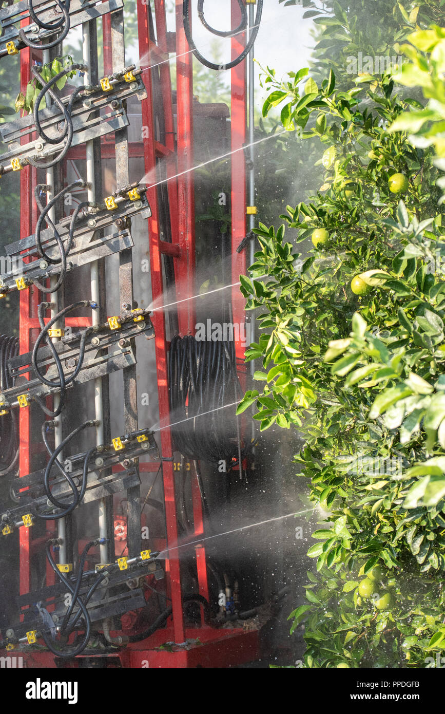 Tractor with machine spraying fruit trees.Agricultural concept Stock