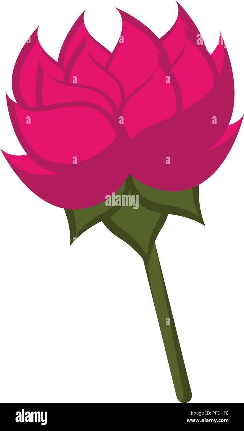 Isolated lotus flower icon Stock Vector Image & Art - Alamy