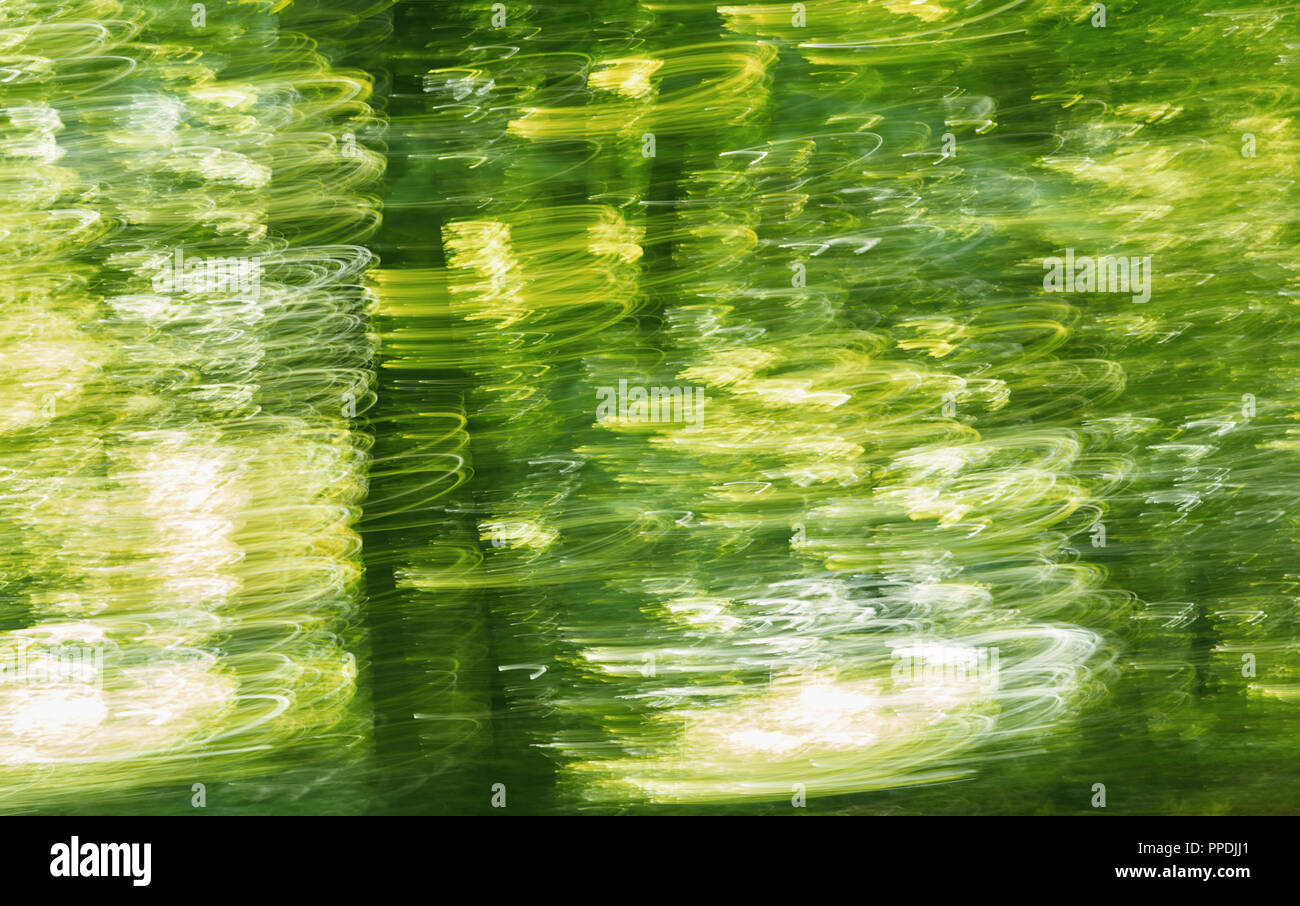 abstract photo of spring forest background with the help of camera hand ...