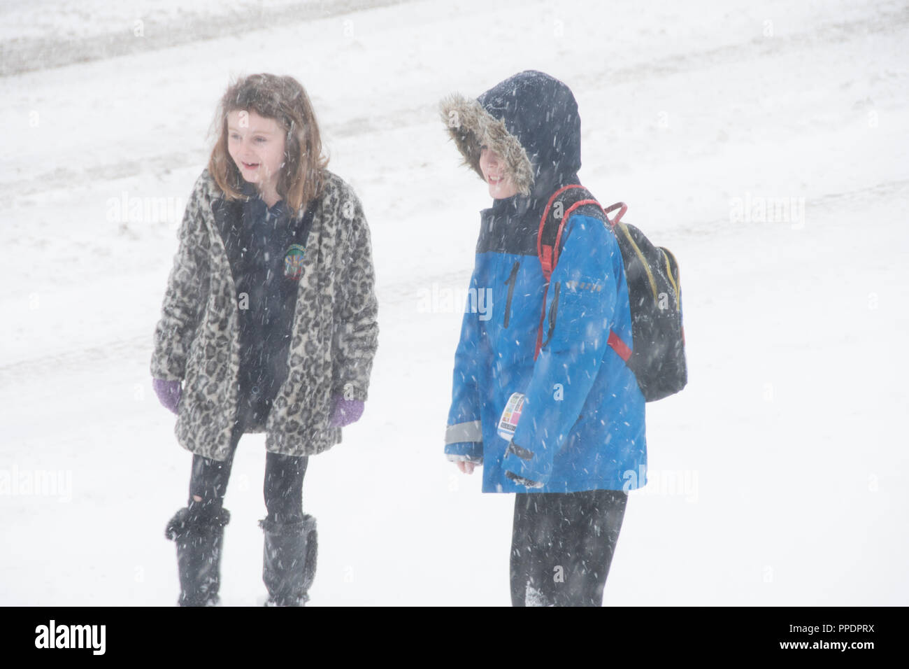 Sheffield, UK – 28 Feb 2018: Playing in the snow: brother and sister play outdoors in a blizzard as The Beast from the East grips Sheffield in freezin Stock Photo