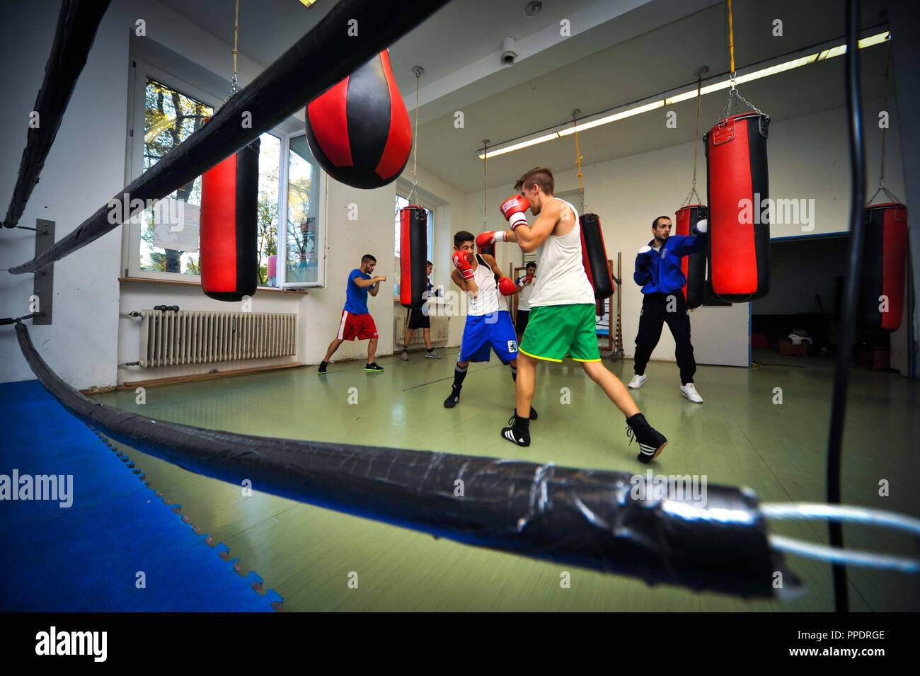 Boxing training of TSV 1860 Muenchen in the sports hall of the Wittelsbacherschule (Wittelsbach School) in the Auenstrasse 19. Stock Photo