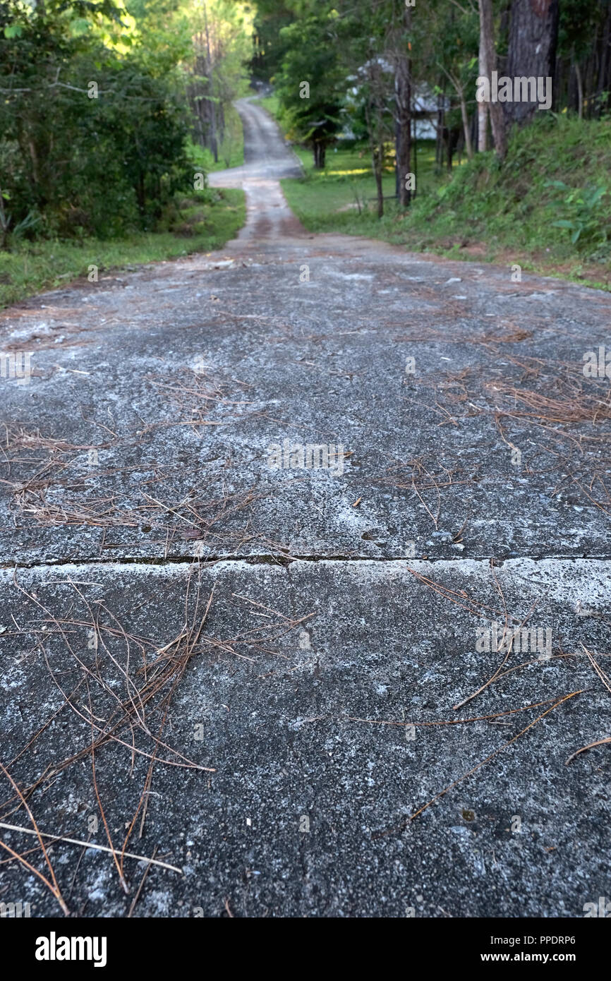 Asphalt road in forest hi-res stock photography and images - Alamy