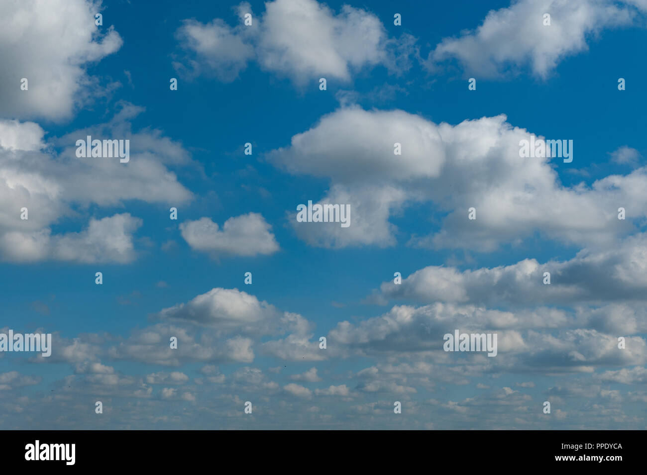 Scattered fluffy white clouds hi-res stock photography and images - Alamy