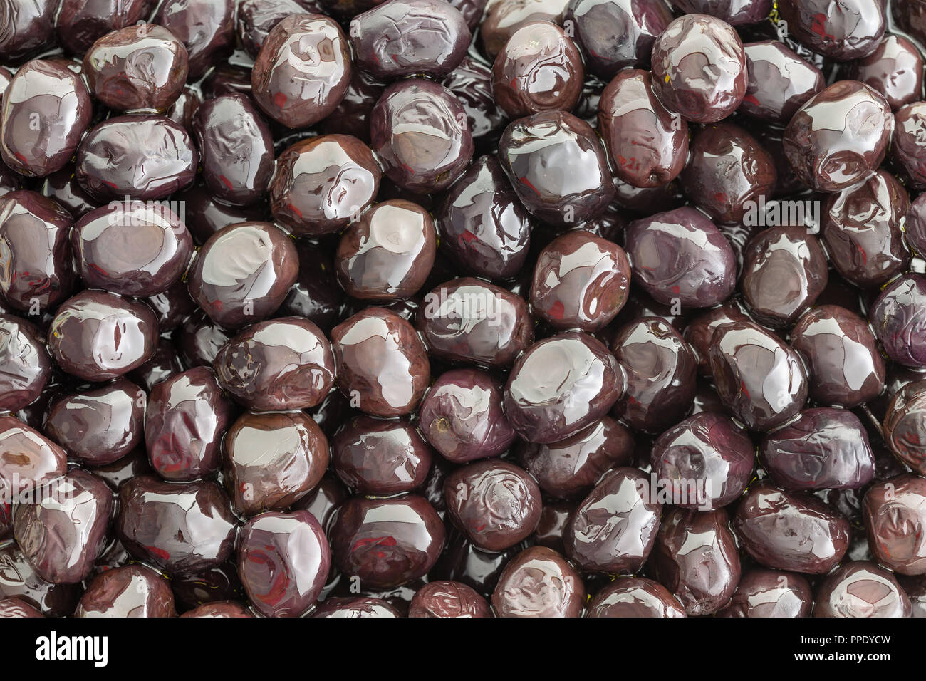 Tasty brine cured Grade A Mediterranean black olives in a close up full frame view for a healthy appetizer or snack or used as an ingredient in cookin Stock Photo