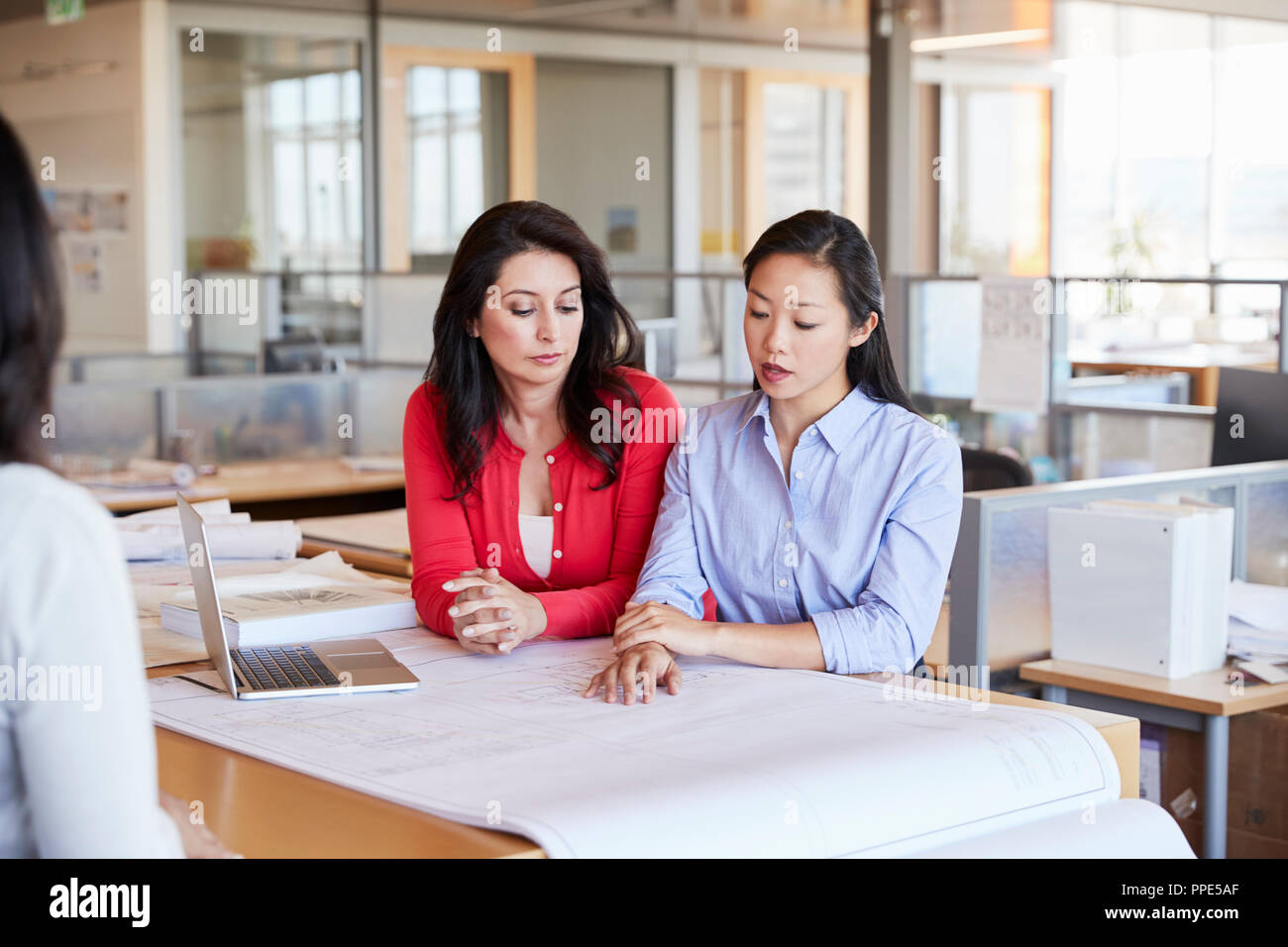 Two female architects studying plans together at work Stock Photo