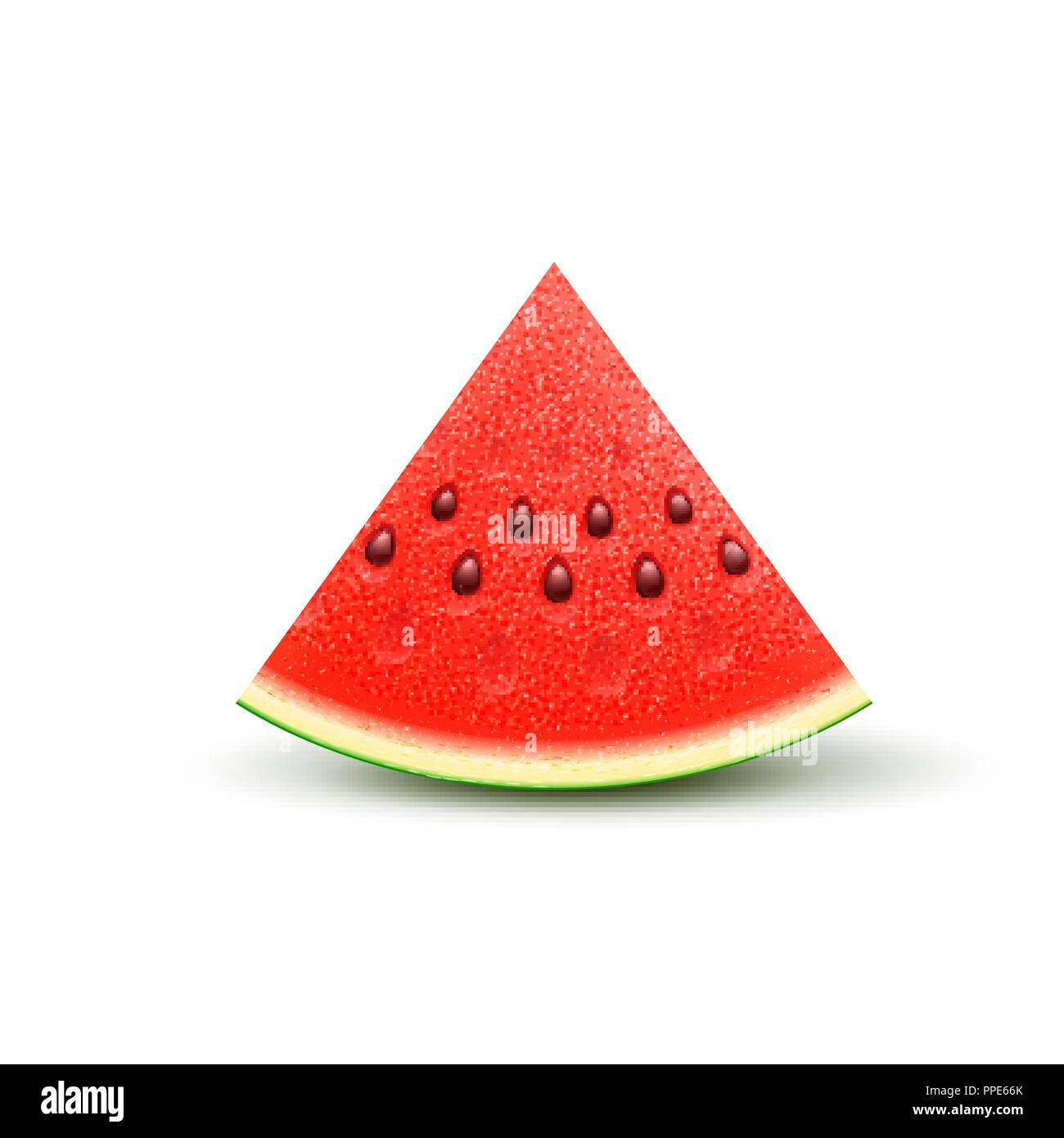 Watermelon realistic sliced fruit, vector Stock Vector Image & Art - Alamy