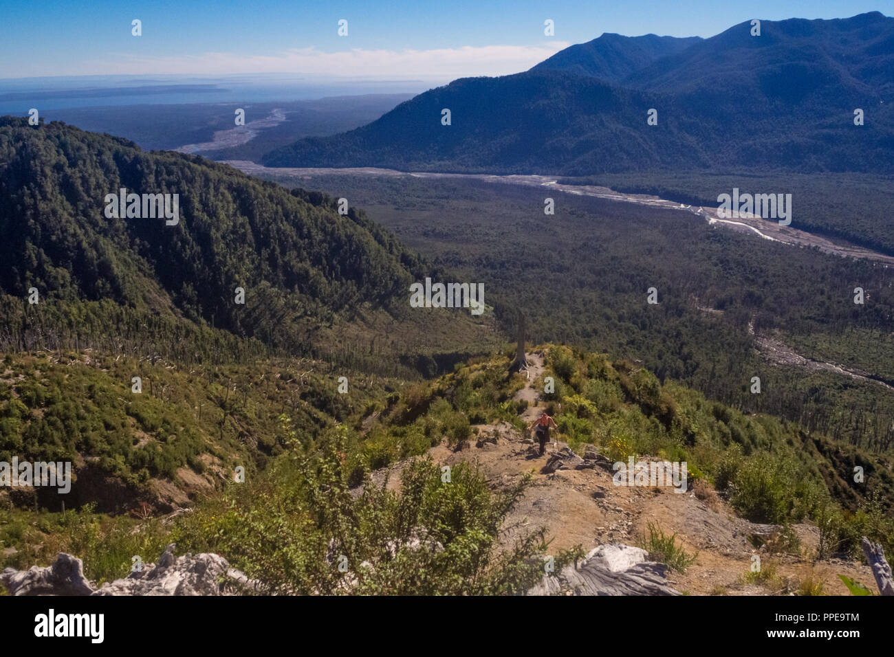 Panoramic from the top of Chaiten volcano in patagonia, Chile. Detail of the dead trees because the eruption of the volcano. Dead trees Stock Photo