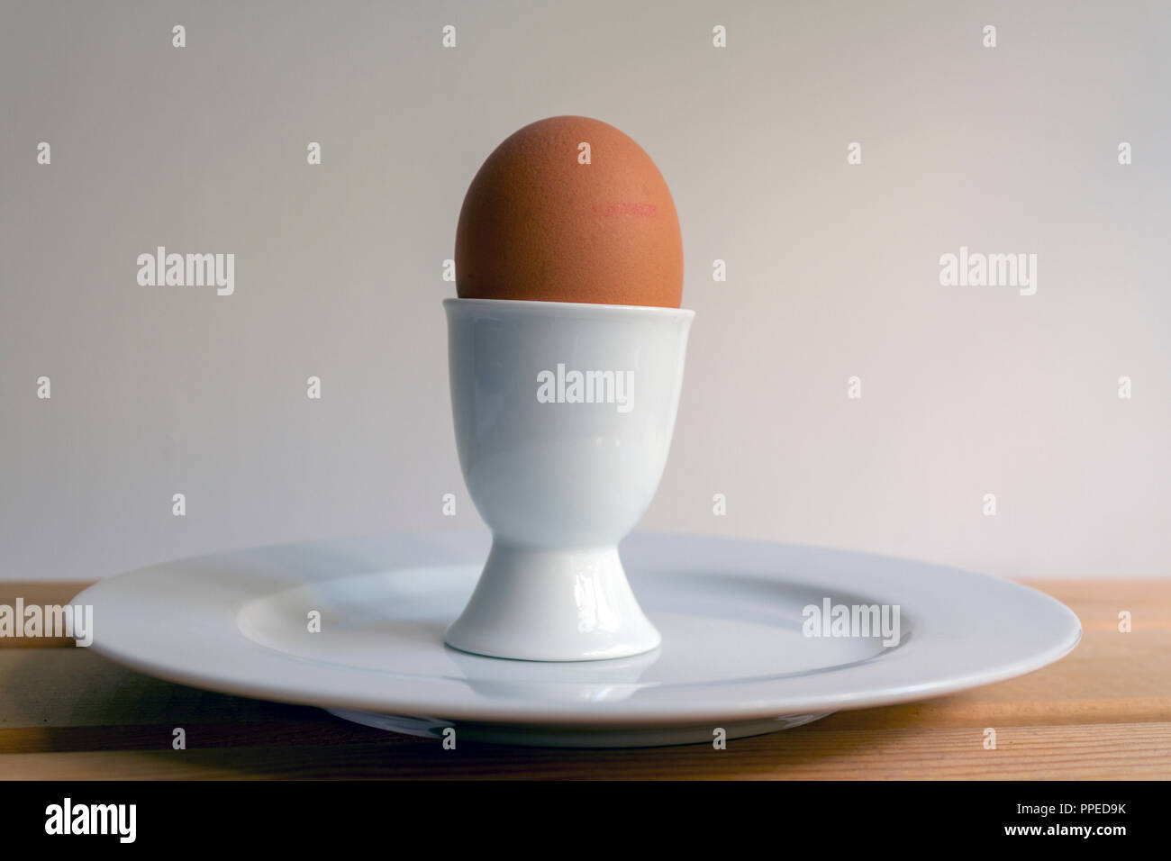 Boiled egg in a white egg cup on a white plate against a neutral coloured background with space for copy Stock Photo