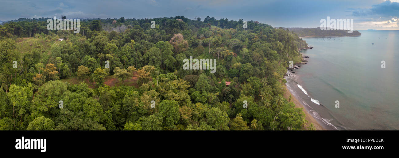 Top view -Jungle, Drake Bay, Osa Peninsula, Costa Rica Stock Photo - Alamy
