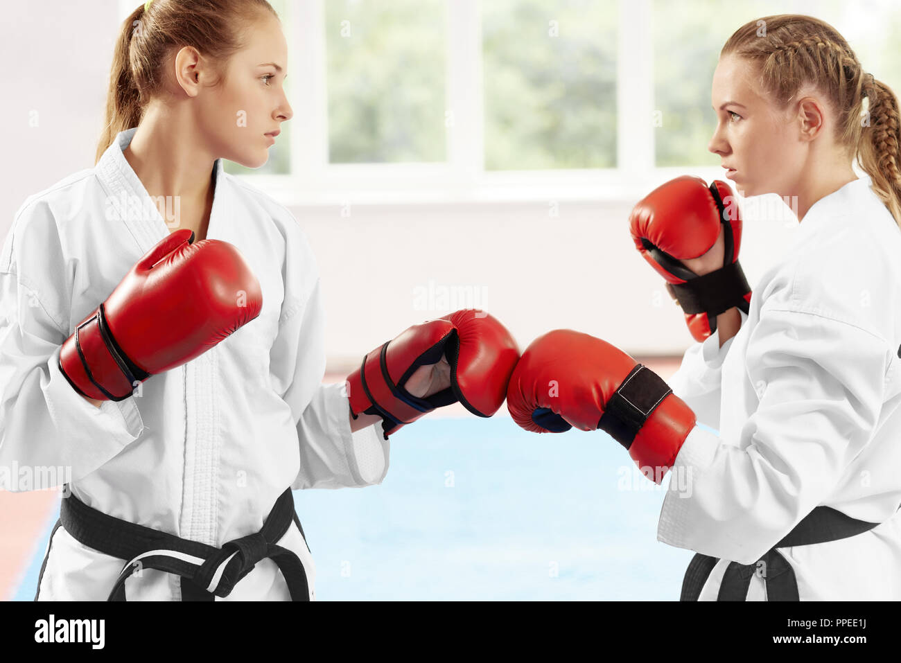 Close up of two female karate fighter standing in position ready to start fight against big window. Young athlete wearing in white kimono and red protective gloves, which they touching each other. Stock Photo