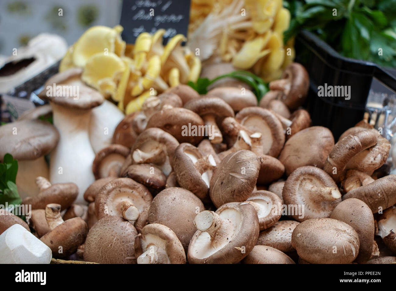 Supermarket shiitake mushrooms hires stock photography and images Alamy