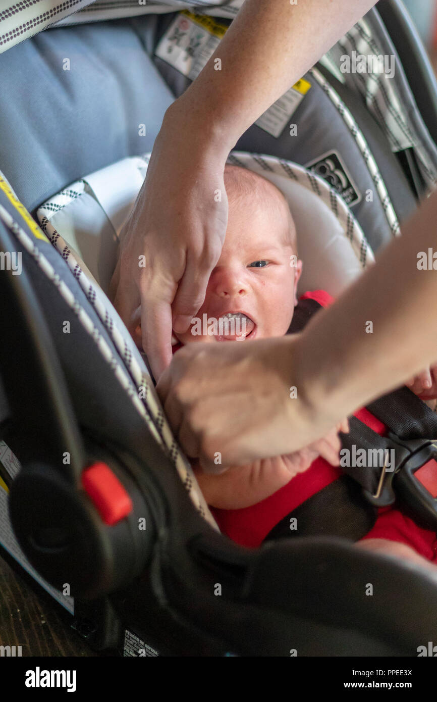Wheat Ridge, Colorado -A young woman puts her newborn baby in a car seat. Stock Photo