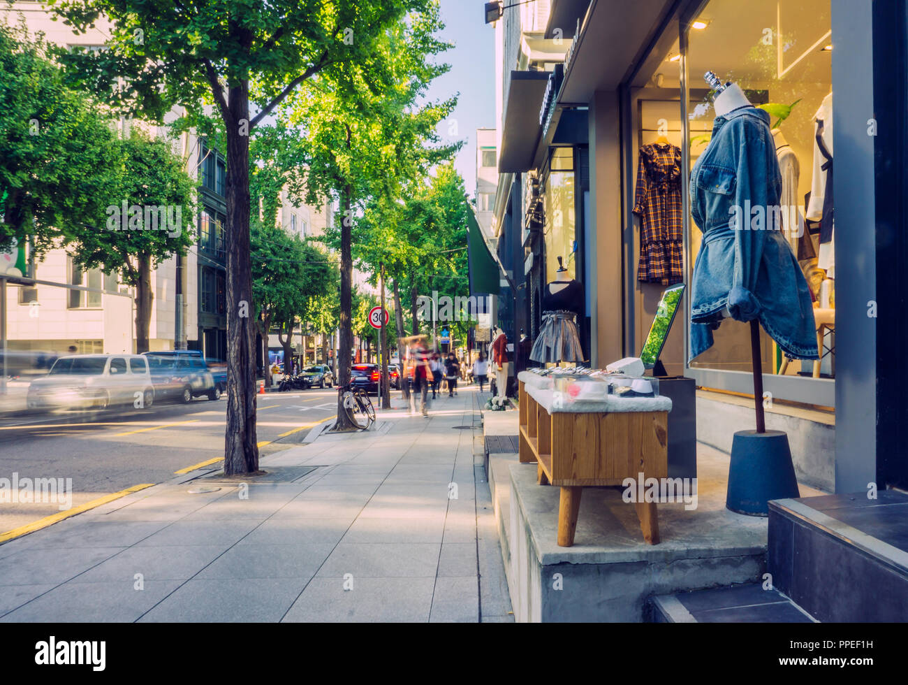 The sidewalk of Garosu-gil where the hip place of Gangnam, Seoul the ginkgo tree-lined along the street. There are famous boutique, fusion restaurant. Stock Photo