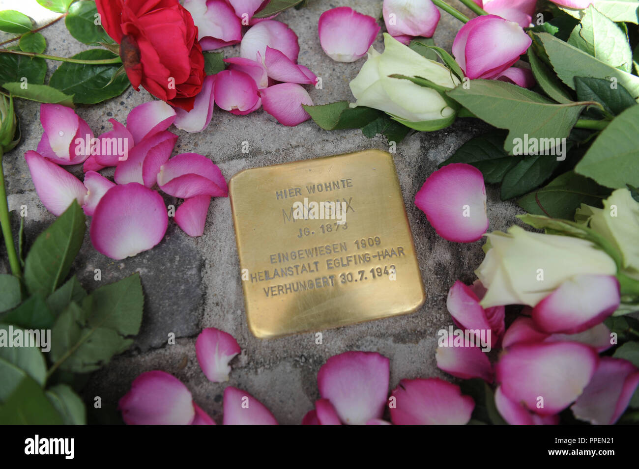 The 27th Stolperstein (cobblestone-sized memorial) in the city of Munich on private property in the von-der-Tann-Strasse 7 is devoted to Max Sax, who was murdered in a psychiatric ward in 1943. Stock Photo