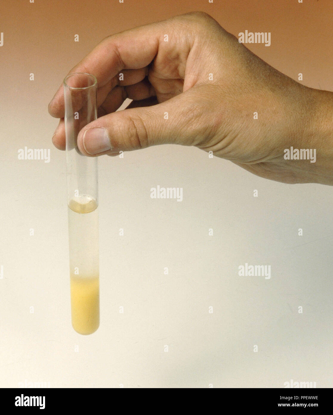 Lead iodide precipitate hires stock photography and images Alamy