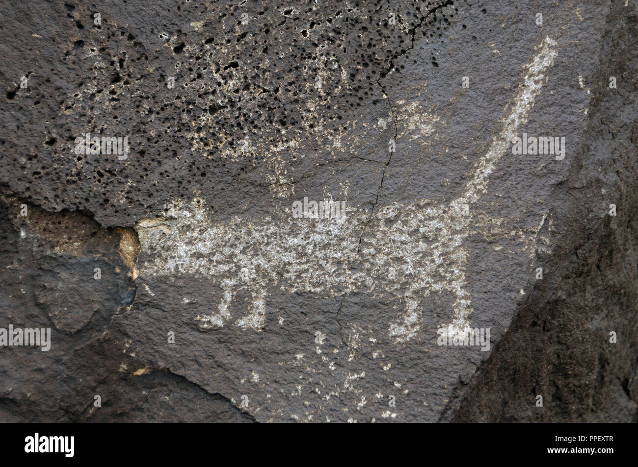 Prehistoric Art. USA. Petroglyph National Monument. Petroglyphs made   by American Indian people and some of them, by settlers. Boca Negra Canyon. Near Albuquerque. New Mexico. Stock Photo