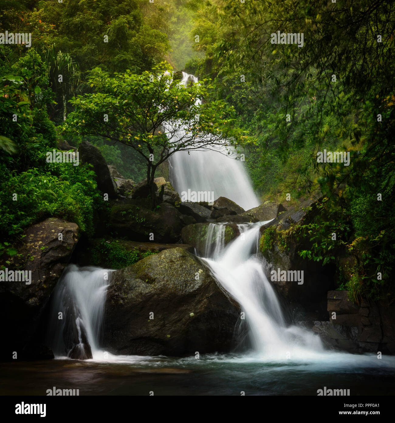 Wonderful distinctive Ciherang Waterfall, West Java, Indonesia Stock Photo