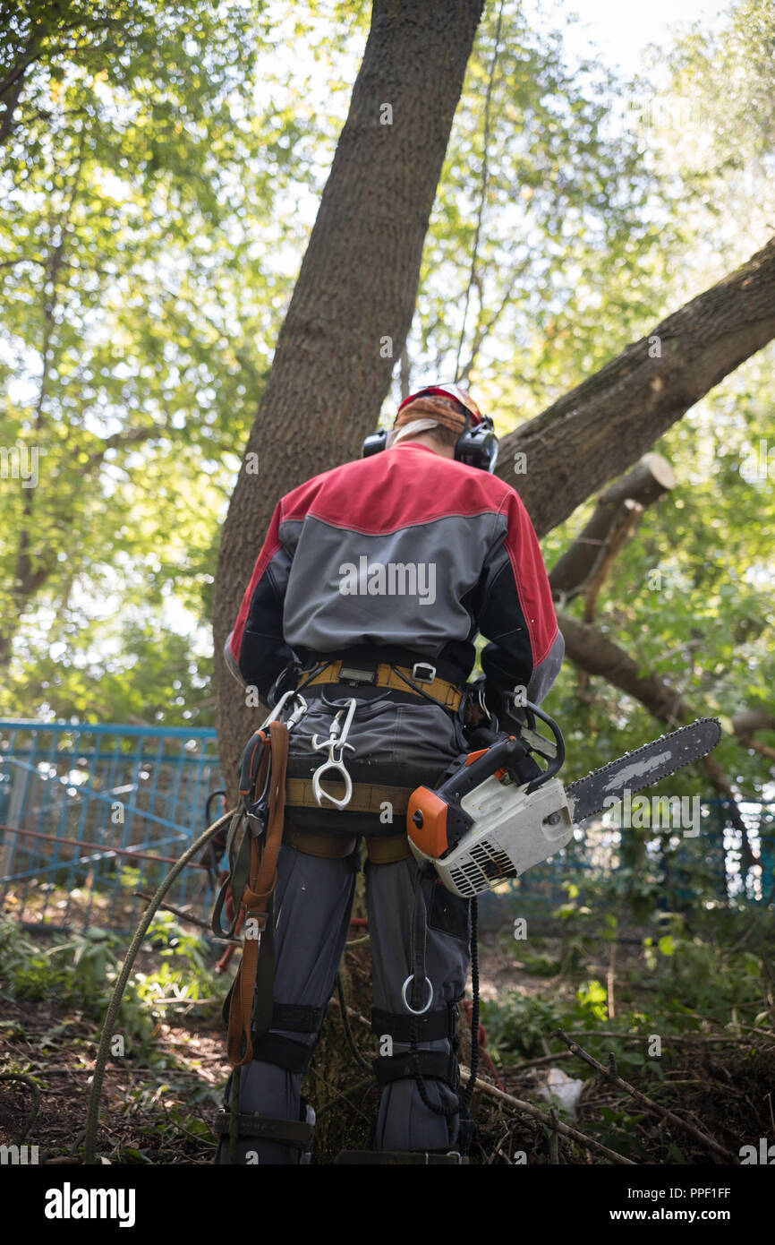 Worker in protective suit in a forest holds a chainsaw Stock Photo