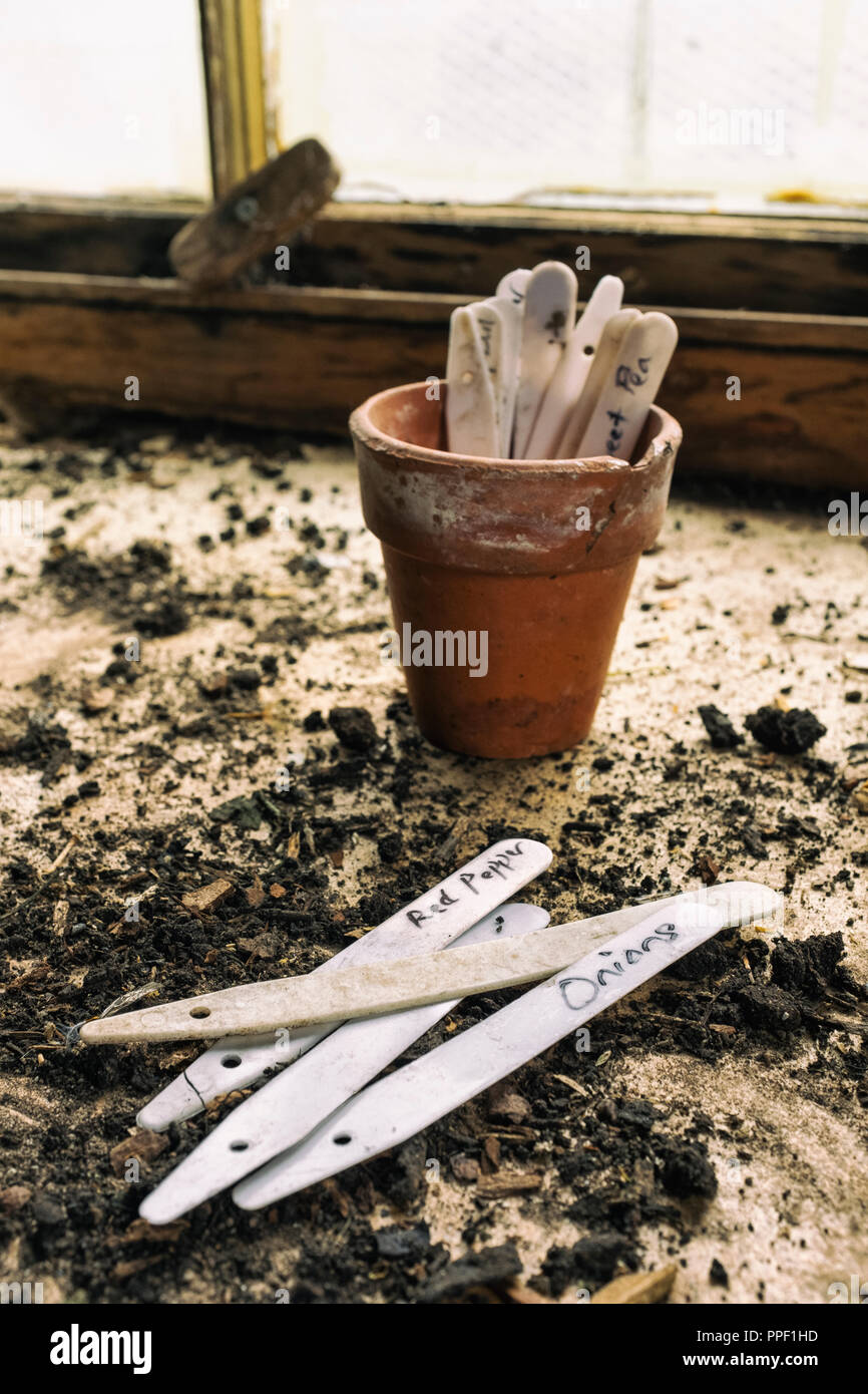 Hand written vegetable labels in a potting shed. Stock Photo