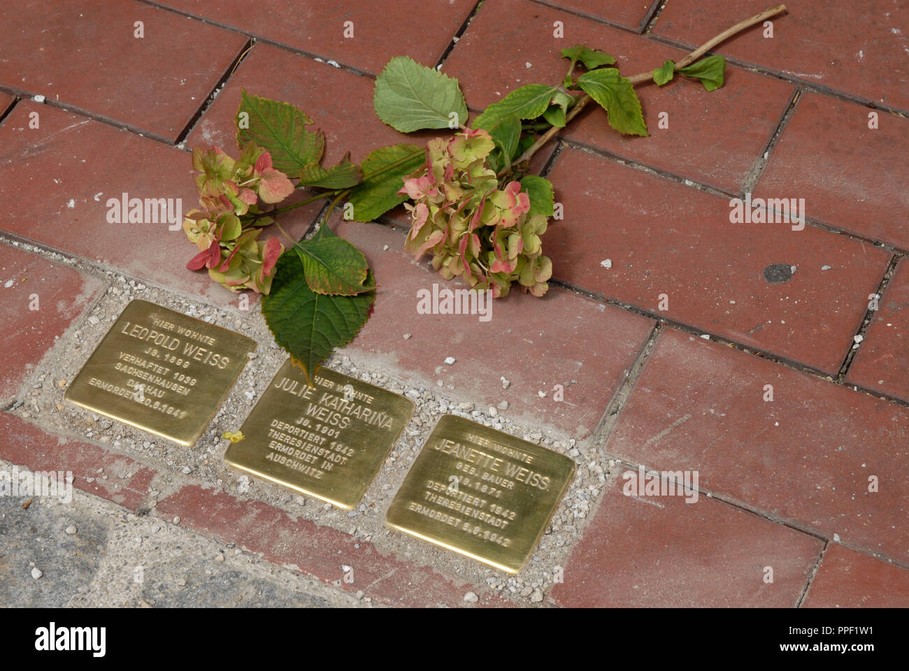 Stumbling blocks in memoriam of Leopold, Julie Katharina and Jeanette Weiss in the Viktor-Scheffel-Strasse in Munich, Germany. Stolpersteine are small, cobblestone-sized brass memorials for the victims of National Socialism. Stock Photo