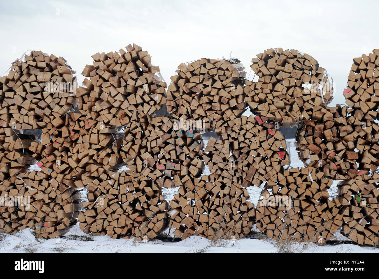 Firewood pile in the snow, Heche, Bavaria, Germany Stock Photo