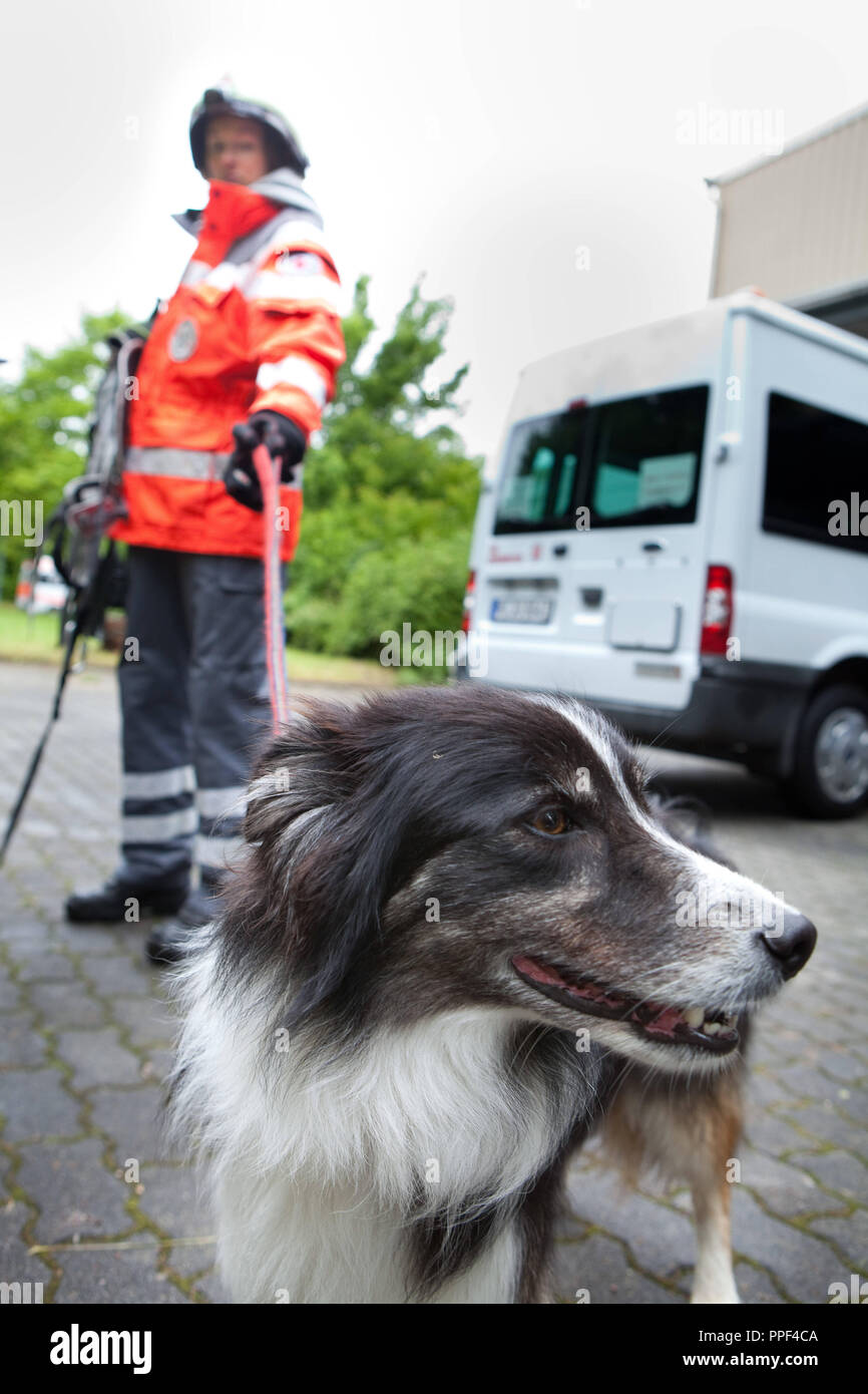 Germany-wide disaster management exercise for rescue dog handlers, organized by the Johanniter Hundestaffel Muenchen. Stock Photo
