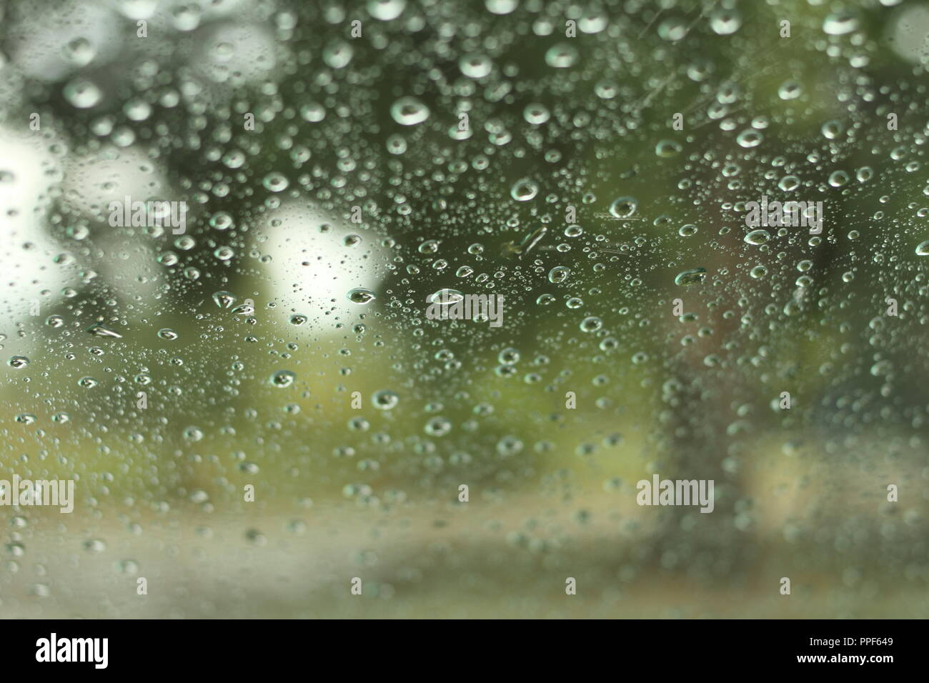 Raindrops on windshield Stock Photo
