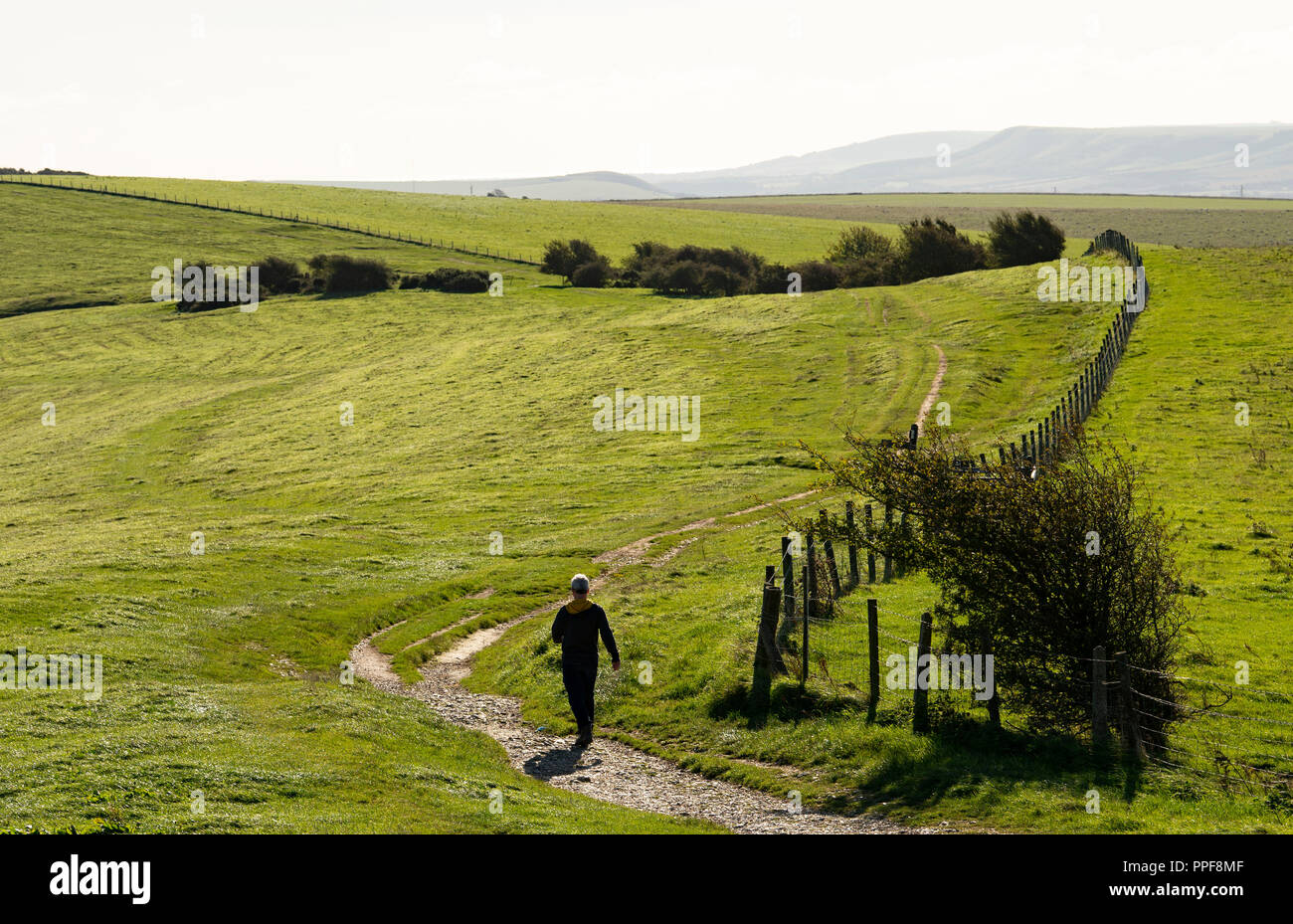 View along the South Downs Way walk at Ditchling Beacon just north of Brighton in East Sussex UK Stock Photo
