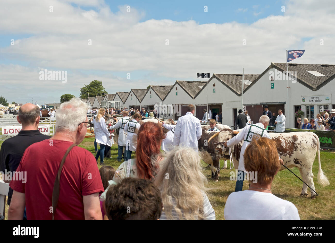 People watching judging of Longhorn Cattle at Great Yorkshire Show in summer Harrogate North Yorkshire England UK United Kingdom GB Great Britain Stock Photo