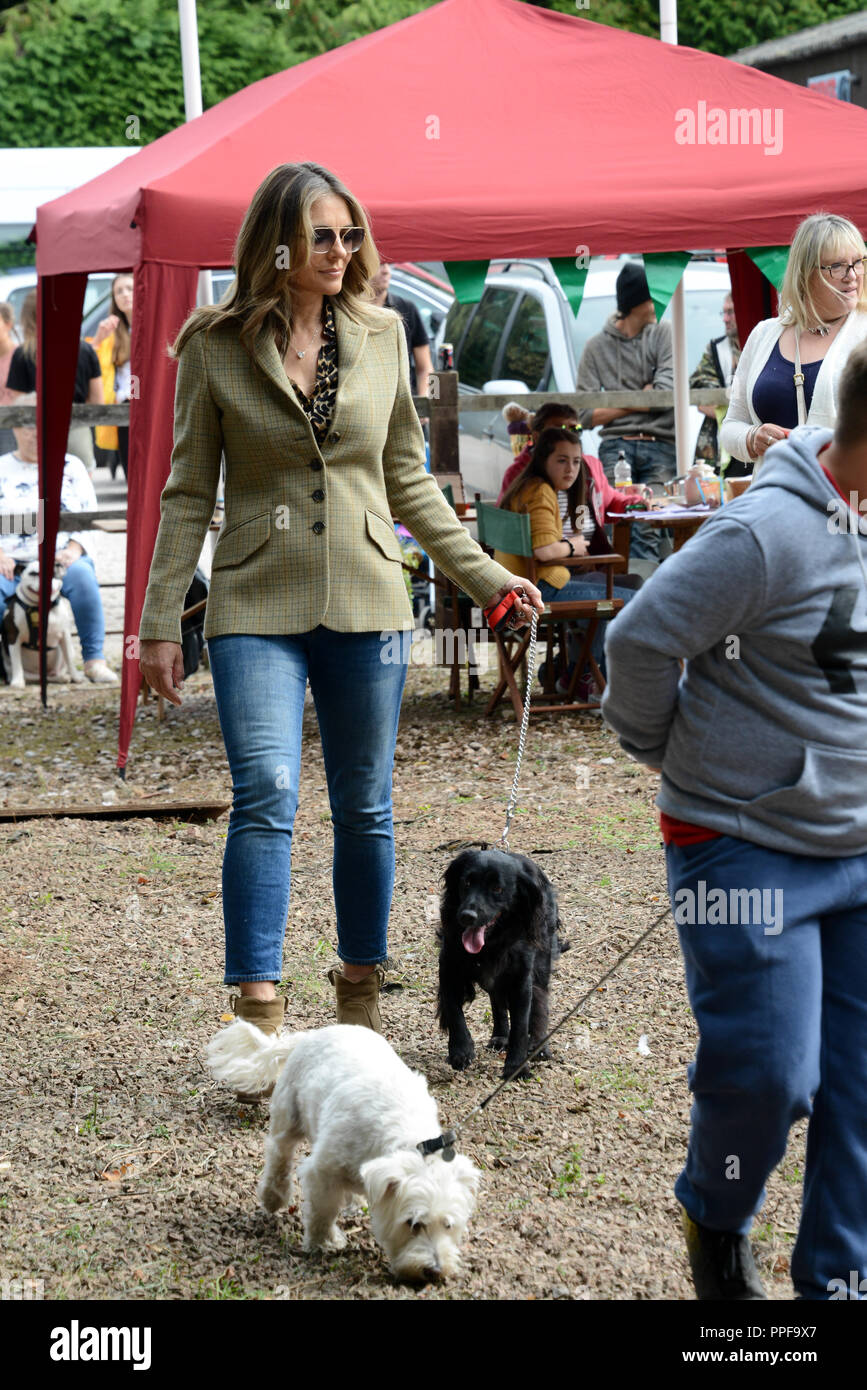 Bromsberrow Heath Fun Dog Show. 15th September 2018. Herefordshire. Elizabeth Hurley & her spaniel Mia taking part in a village dog show. Stock Photo