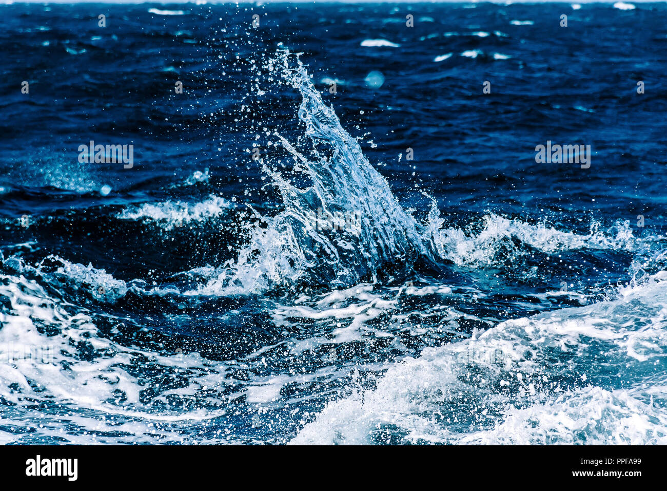 Water splash in the middle of the sea Stock Photo